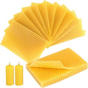 Pack of 30 Beeswax Plates, 13 x 9 c...