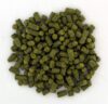 Hops Saaz Half-Early Red Hawk (Zate...
