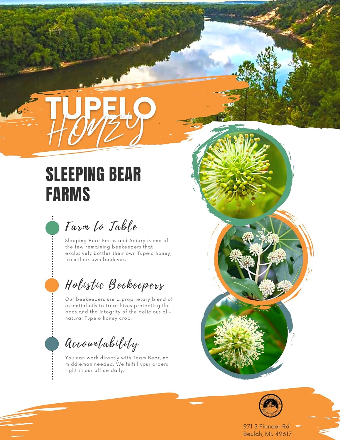 Tupelo Honey 473 ml Premium Quality A by Sleeping Bear Farms Beekeeper in Florida Apalachicola River Basin – Bild 3