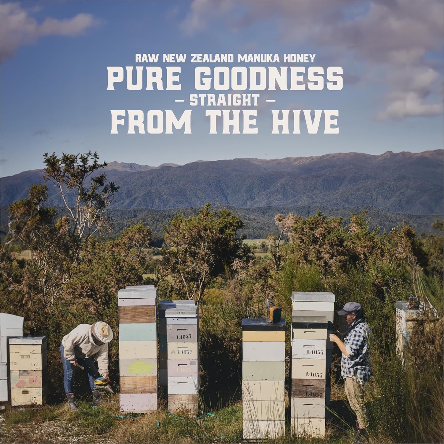 Gold Fern Honey - Raw New Zealand Manuka Honey | 8.8oz MGO 200+ | Pure, Natural, Unpasteurized, and Unfiltered Superfood Honey, Traceable from Hive to Hand. - Image 9