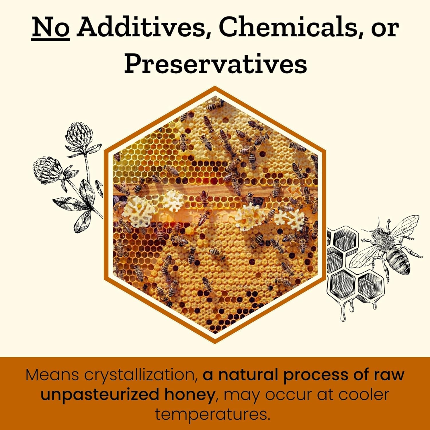 Altay Raw Buckwheat Honey - 100% Pure, Unfiltered, Unpasteurized, Ethically Sourced - Glass Jar, 908g / 35.2oz - Image 6