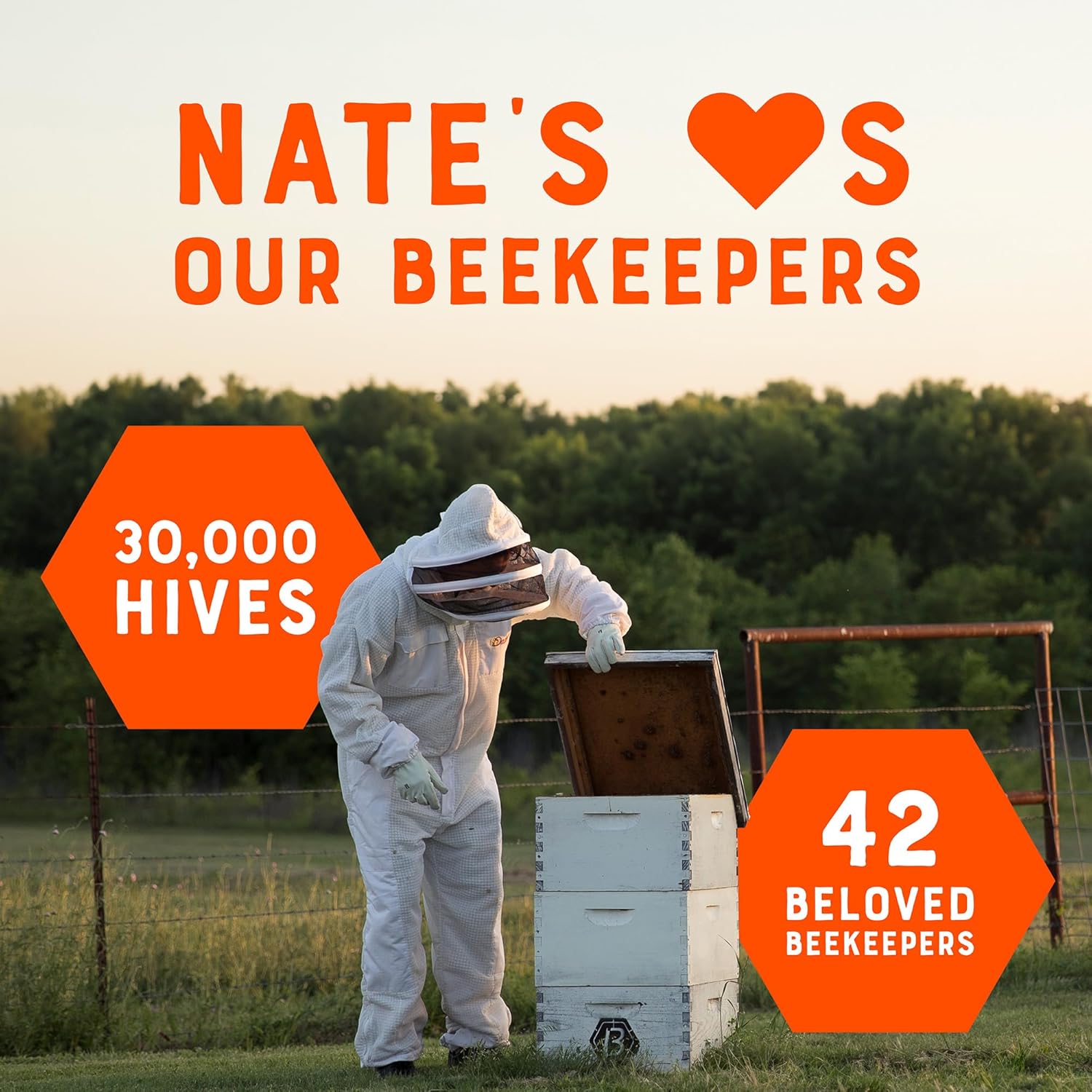 Nate's California 100% Pure, Raw & Unfiltered Honey - 32 oz. Squeeze Bottle - All-natural Sweetener - Image 7