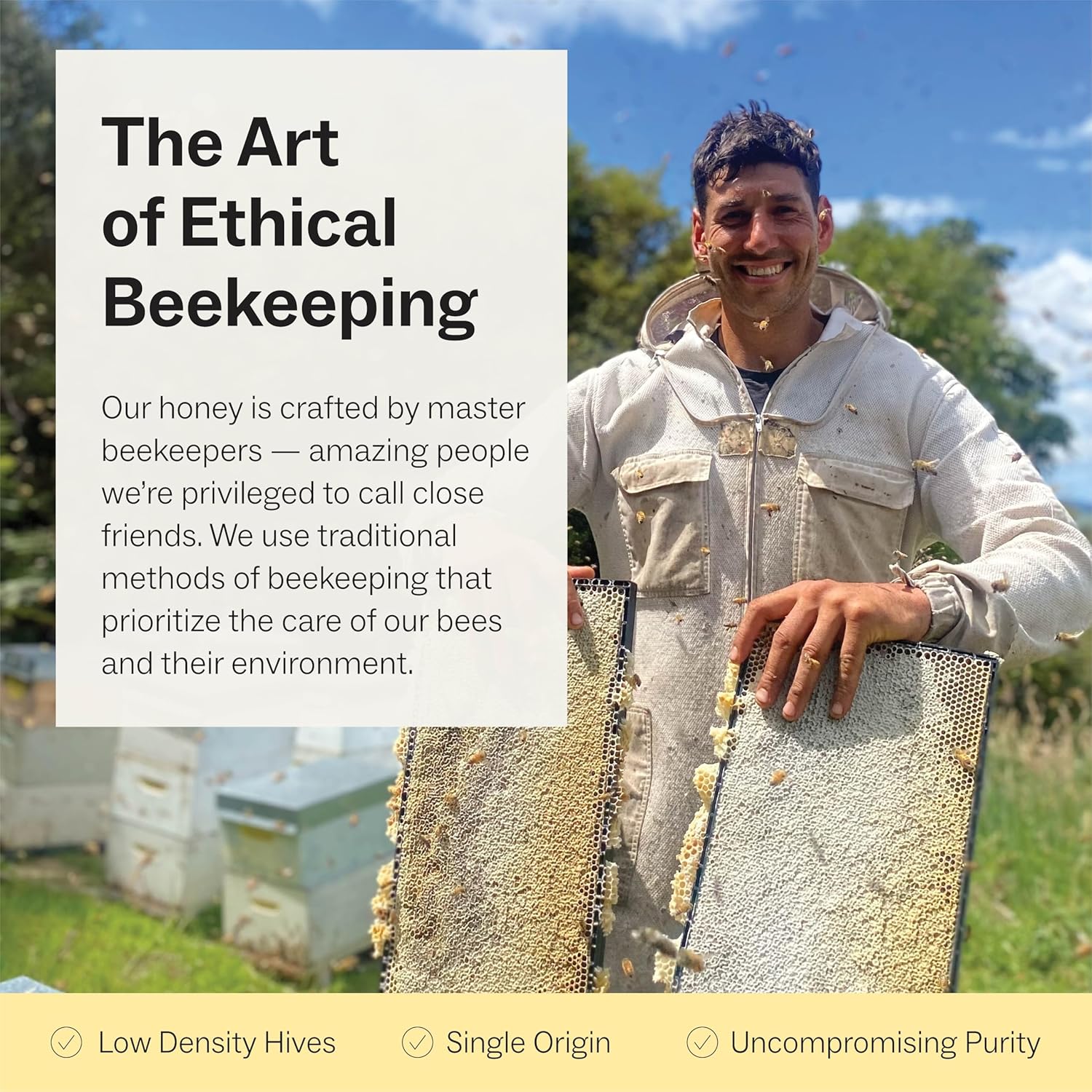 Manukora Raw Manuka New Zealand Honey MGO 850+, Non-GMO, Monofloral, 3rd-Party Tested, Glyphosate Residue Free Certified, 2000+ Natural Compounds, Traceable Hive-to-Hand, Digestive & Immune Support – 500g - Image 6