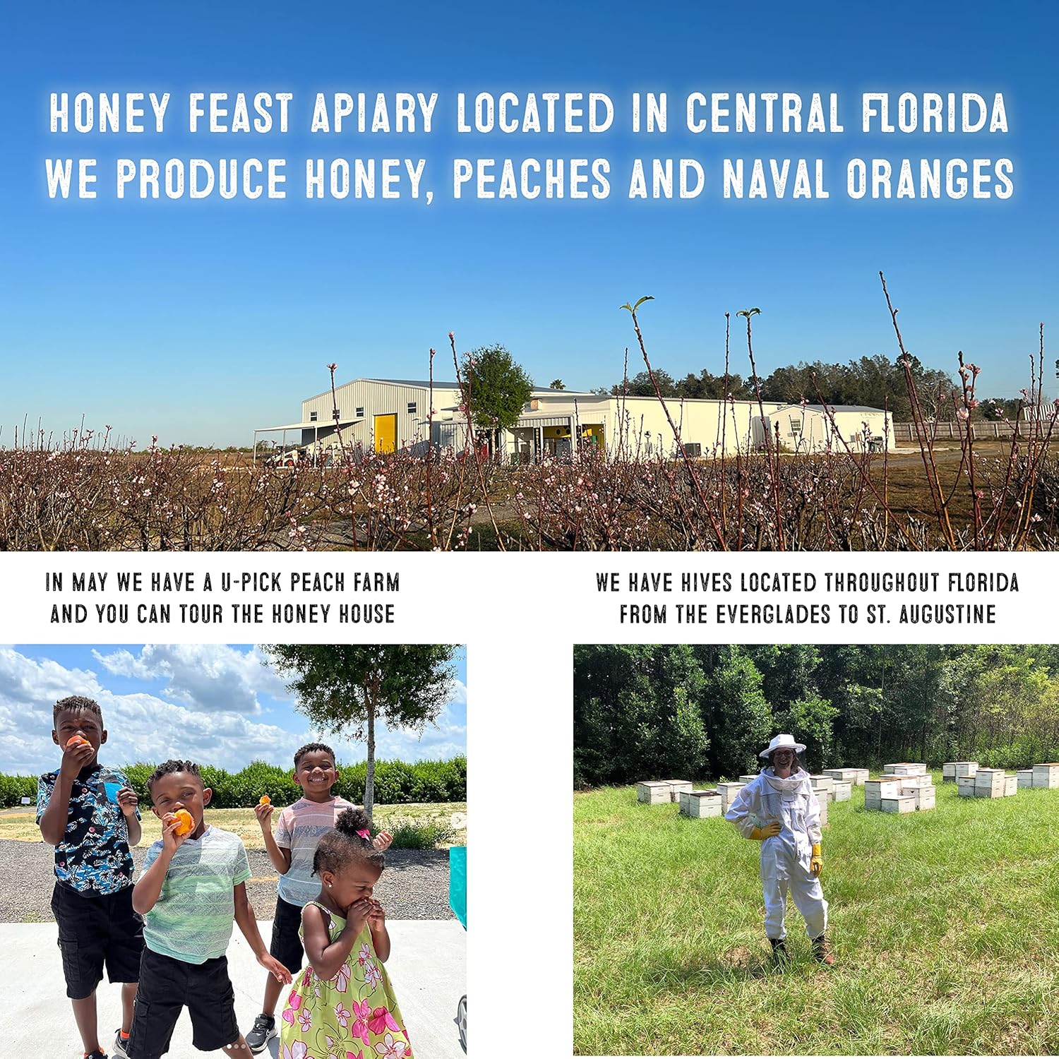 HONEY FEAST Organic Cinnamon Honey - Raw and Cold Packed - 12 Ounces - Small Batch Beekeeper Honey - Image 4