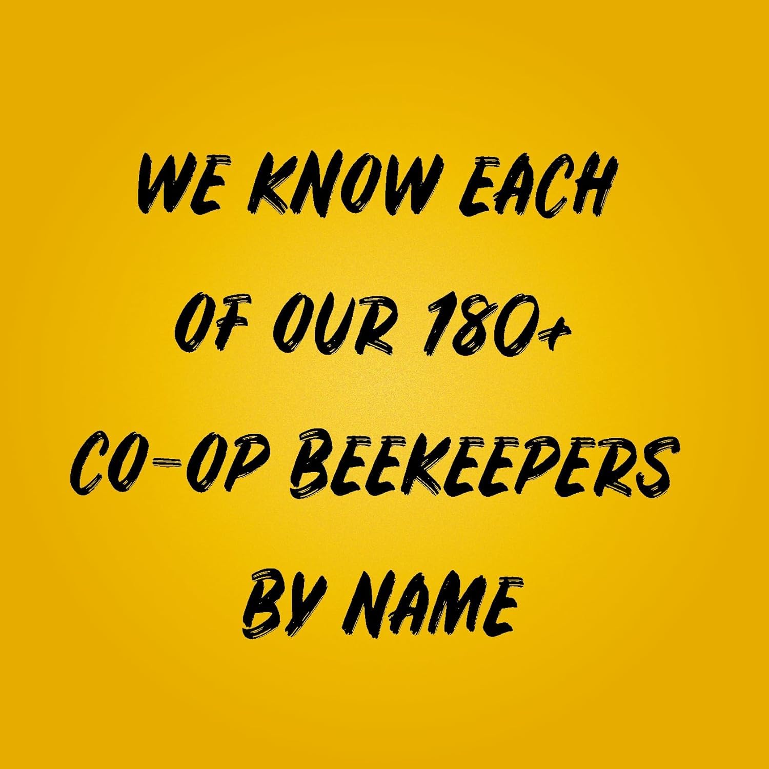 Sue Bee Local Southeast Honey, Raw & Unfiltered, Beekeeper-Owned Co-Op, Product of USA, Regional Honey, 24 Ounce (Pack of 1) - Image 7