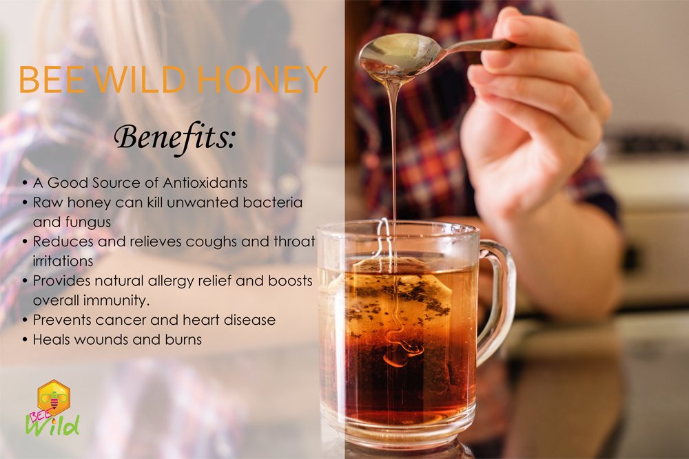 Bee Wild 100% Pure Raw Organic Unfiltered Honey - Wildflower, 3 ounce - Image 4