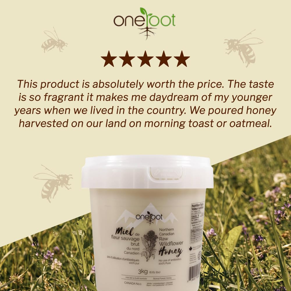Oneroot 100% Canadian Wildflower Honey - 6.6 lbs, Unheated & Creamed - Nutrient-Rich, Natural Sweetener with Enzymes - Thick & Pure Raw Unfiltered Honey - Image 6