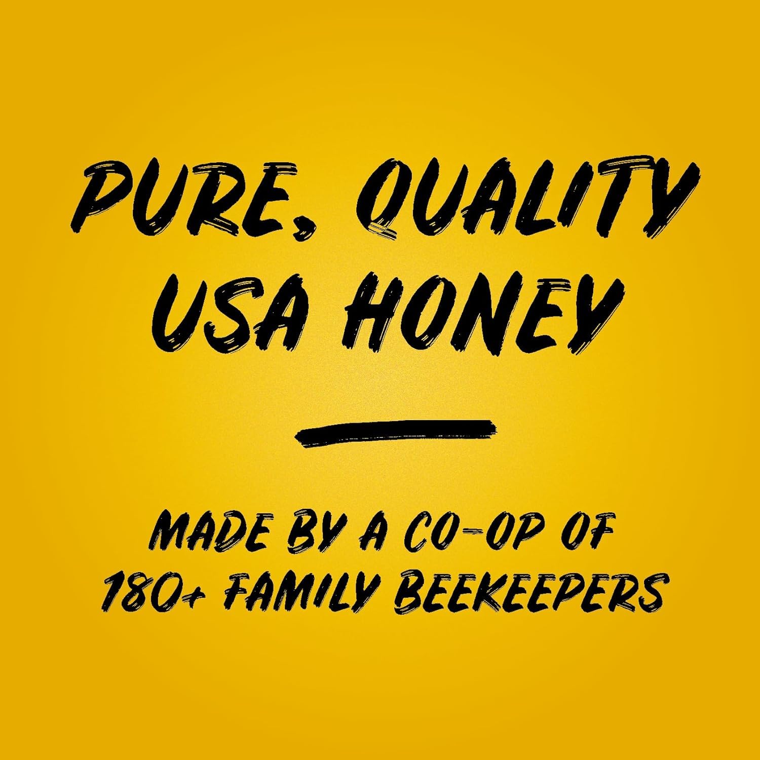 Sue Bee Local Southeast Honey, Raw & Unfiltered, Beekeeper-Owned Co-Op, Product of USA, Regional Honey, 24 Ounce (Pack of 1) - Image 8