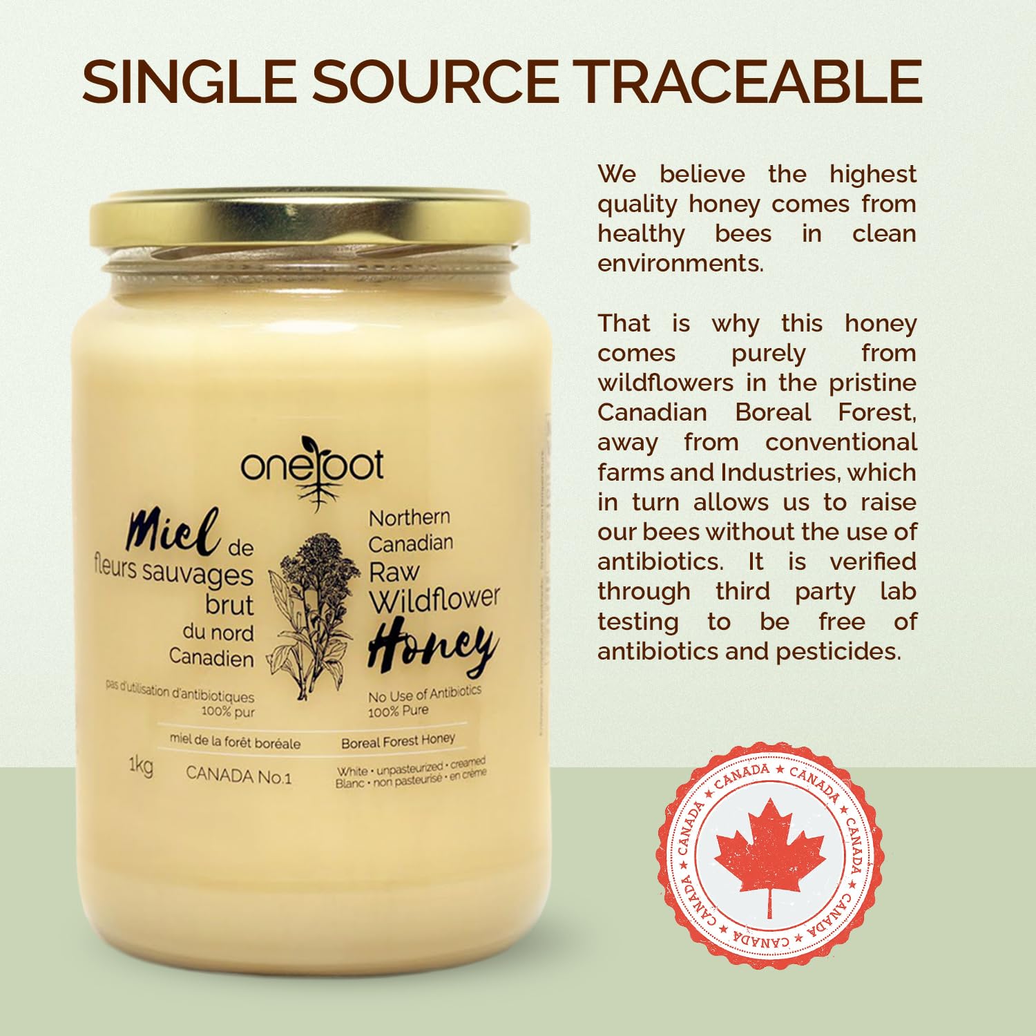 Oneroot 100% Canadian Wildflower Honey - 1kg / 2.2lbs, Unheated & Creamed - Nutrient-Rich, Natural Sweetener with Enzymes - Thick & Pure Raw Unfiltered Honey - Image 4