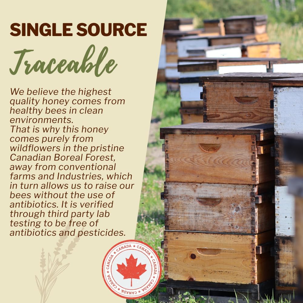 Oneroot 100% Canadian Wildflower Honey - 6.6 lbs, Unheated & Creamed - Nutrient-Rich, Natural Sweetener with Enzymes - Thick & Pure Raw Unfiltered Honey - Image 2
