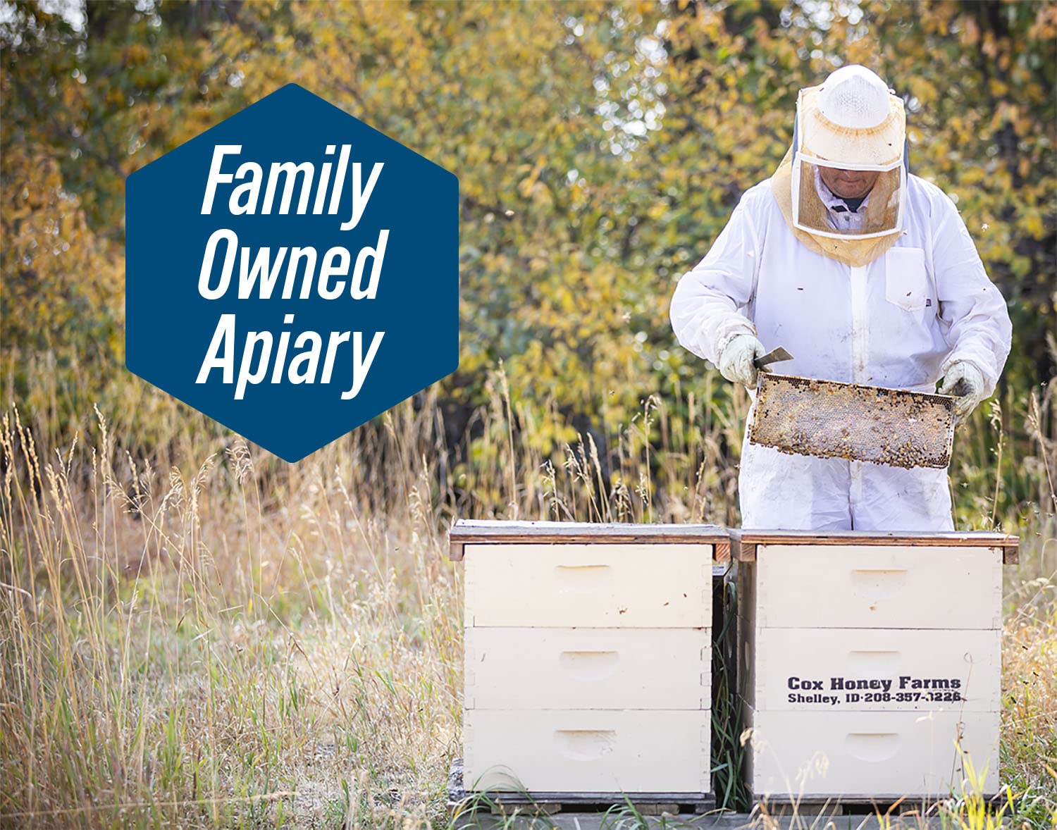 Cox's Honey 100% Pure, Raw Unfiltered Clover Honey, Rich in Nutrients, Family Owned Apiary, 5 lbs Jug - Image 3