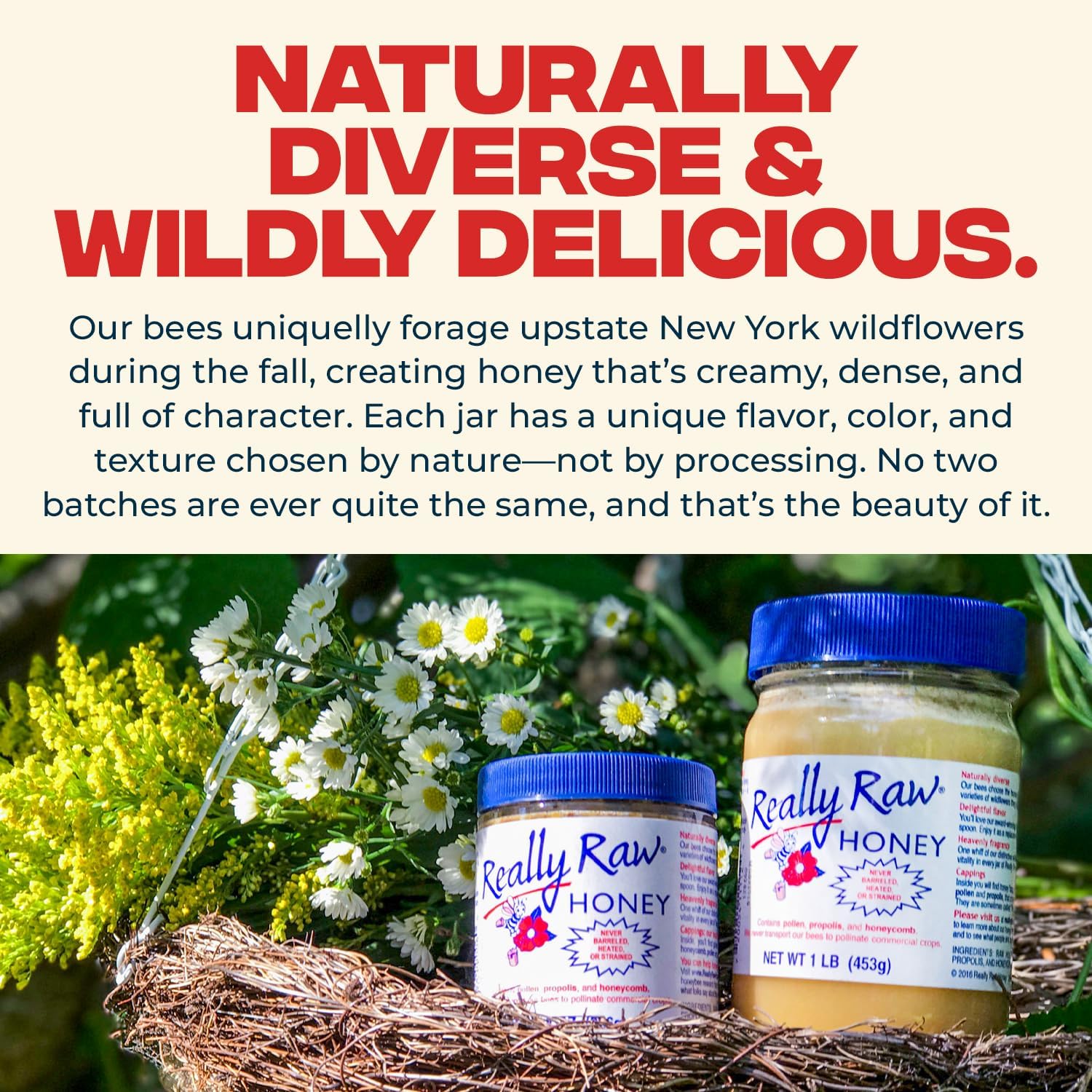 Really Raw Honey, Straight from the Hive, Never Heated or Filtered, Harvested from Small USA Family Farms, Smooth and Dense (16 Ounce) - Image 7