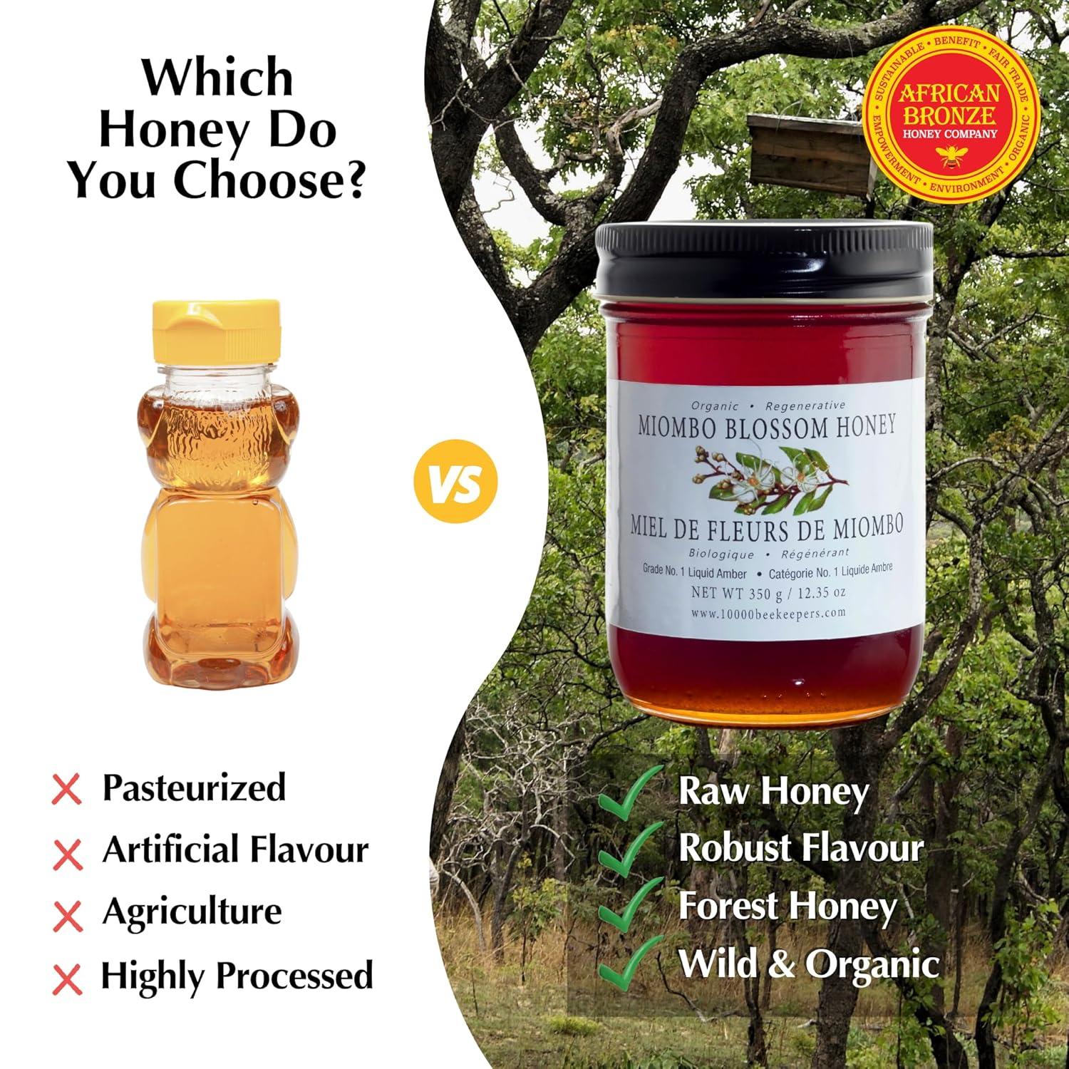 Miombo Blossom Organic Raw Honey in Glass Jar, Multifloral Organic Honey Harvested from Wild Raw Honeycomb, Unpasteurized Miel Cruda, 12.35oz - Image 5