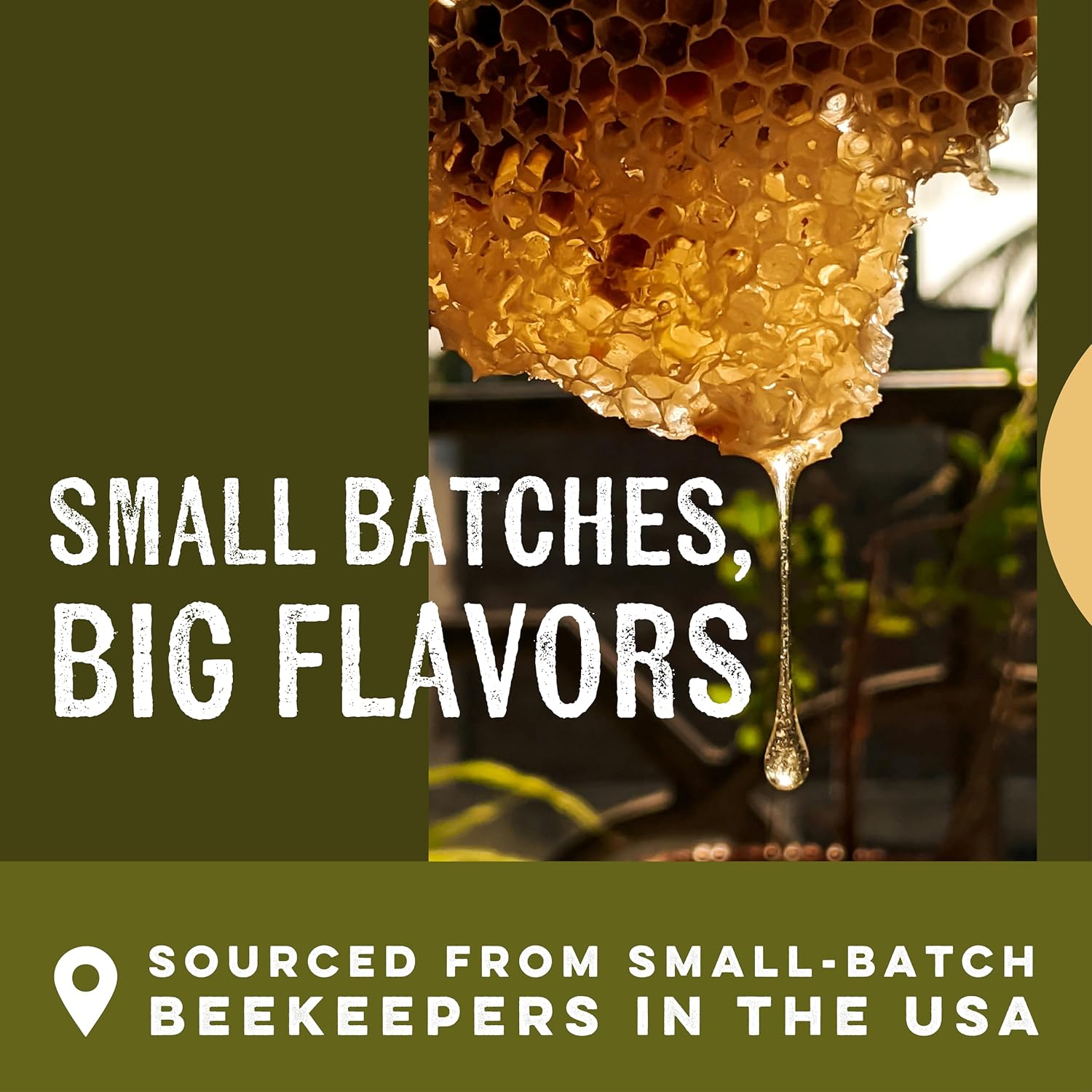 Goshen Amish Raw Honey Bee Complex - With 4 Types of Honey plus 4 Bee Hive Products - Unfiltered, Unprocessed, Pure & Natural Bee Essence - Wellness & Energy - Dairy & Gluten Free - 454g /16 Oz - Image 4