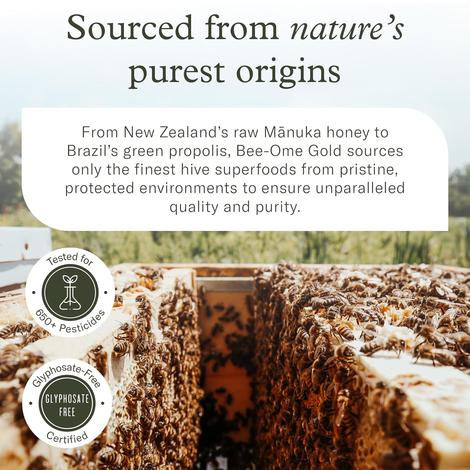 Bee-Ome Gold by Enviromedica - Unpasteurized Raw Manuka Honey with Probiotics, Royal Jelly, Bee Pollen & Propolis, Functional Superfood Honey, 7.4oz - Image 5