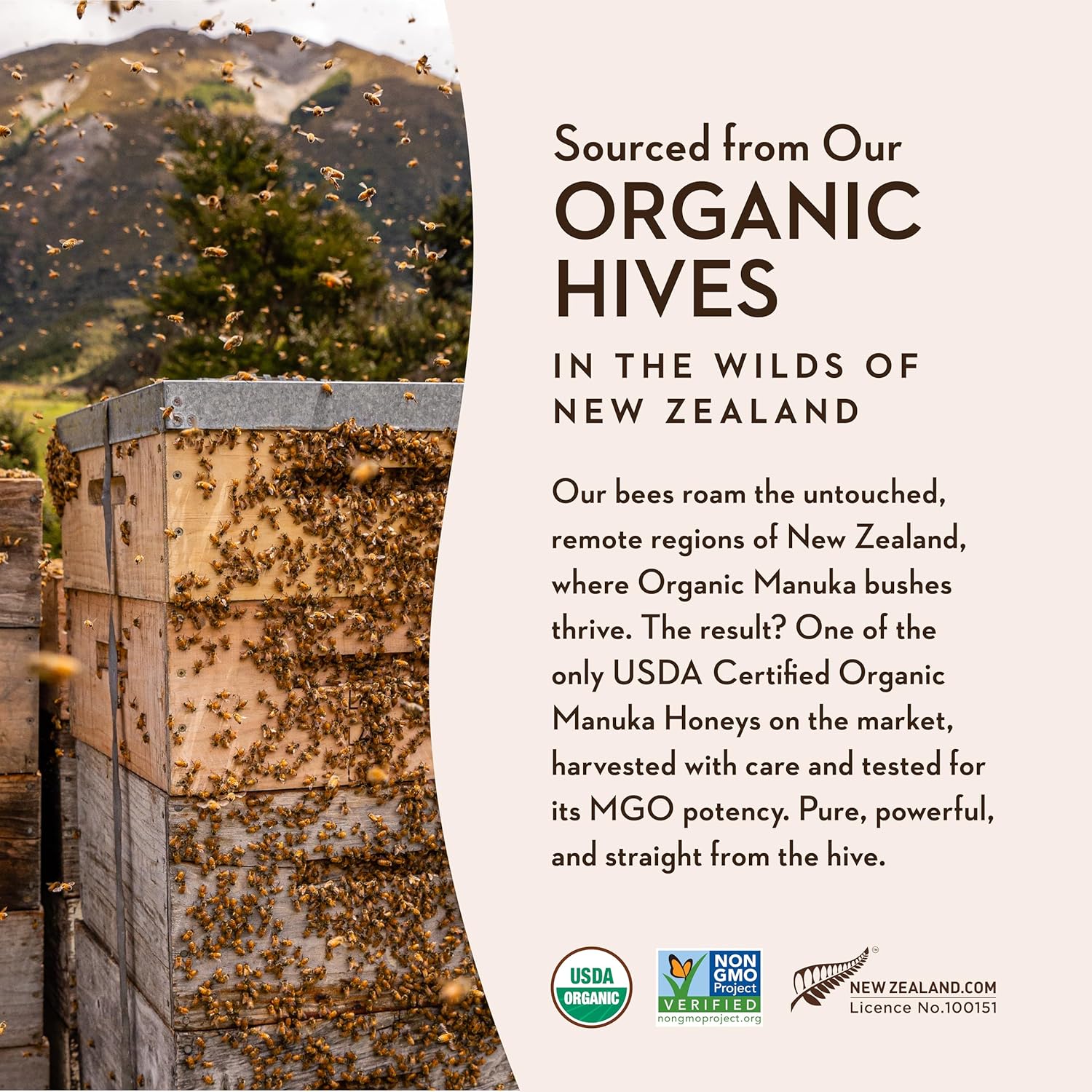 Wedderspoon Raw Premium USDA Certified Organic Manuka Honey, 50+ MGO, 8.8 Oz, Unpasteurized New Zealand Honey, From Our Hives to Your Home - Image 6