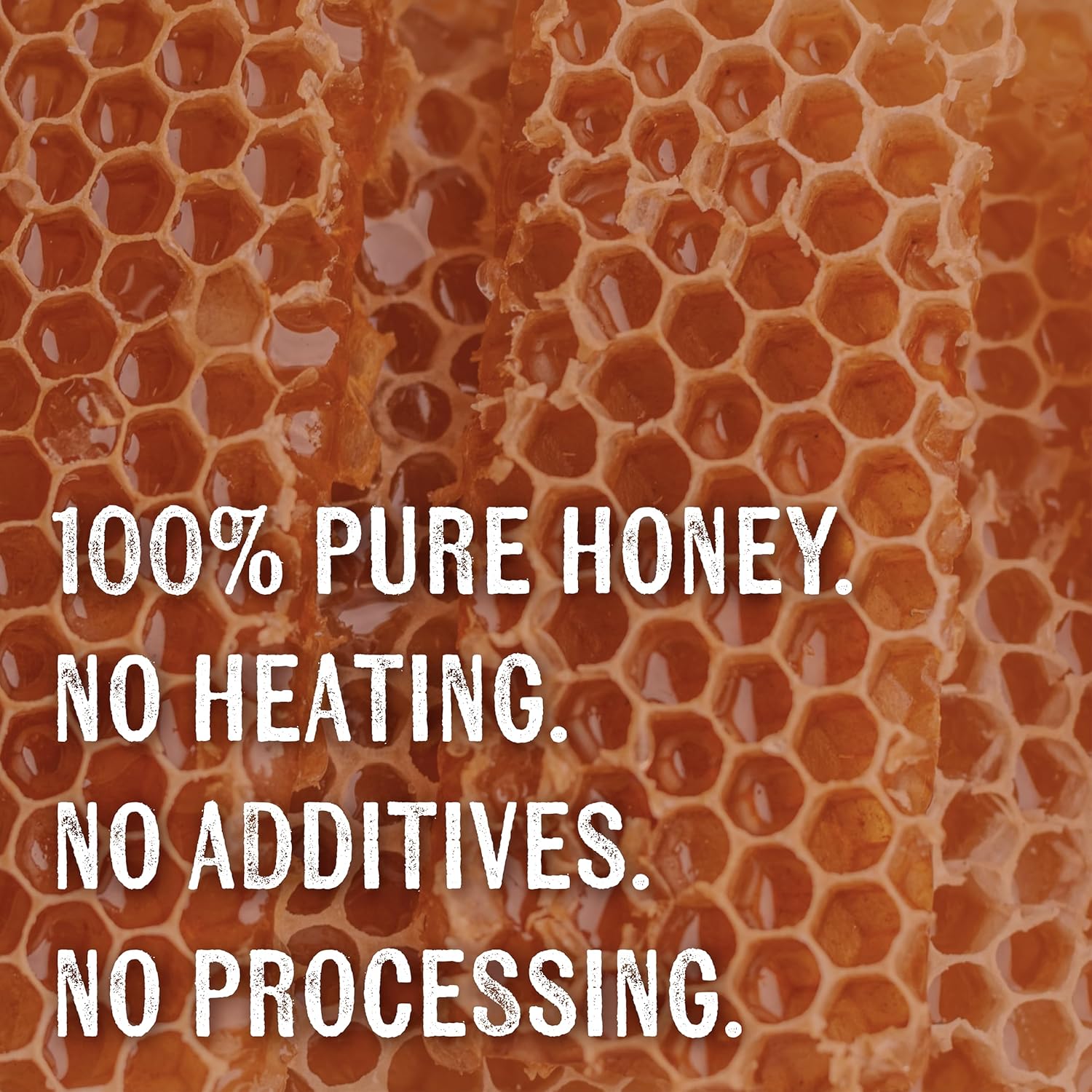 Goshen Honey Extremely Raw Dandelion Honey - Unfiltered, Unprocessed, Pure & Natural from Amish Country in the USA - Rich Flavor for Tea, Cooking, Wellness - Dairy & Gluten Free - 454 g / 16 Oz - Image 7