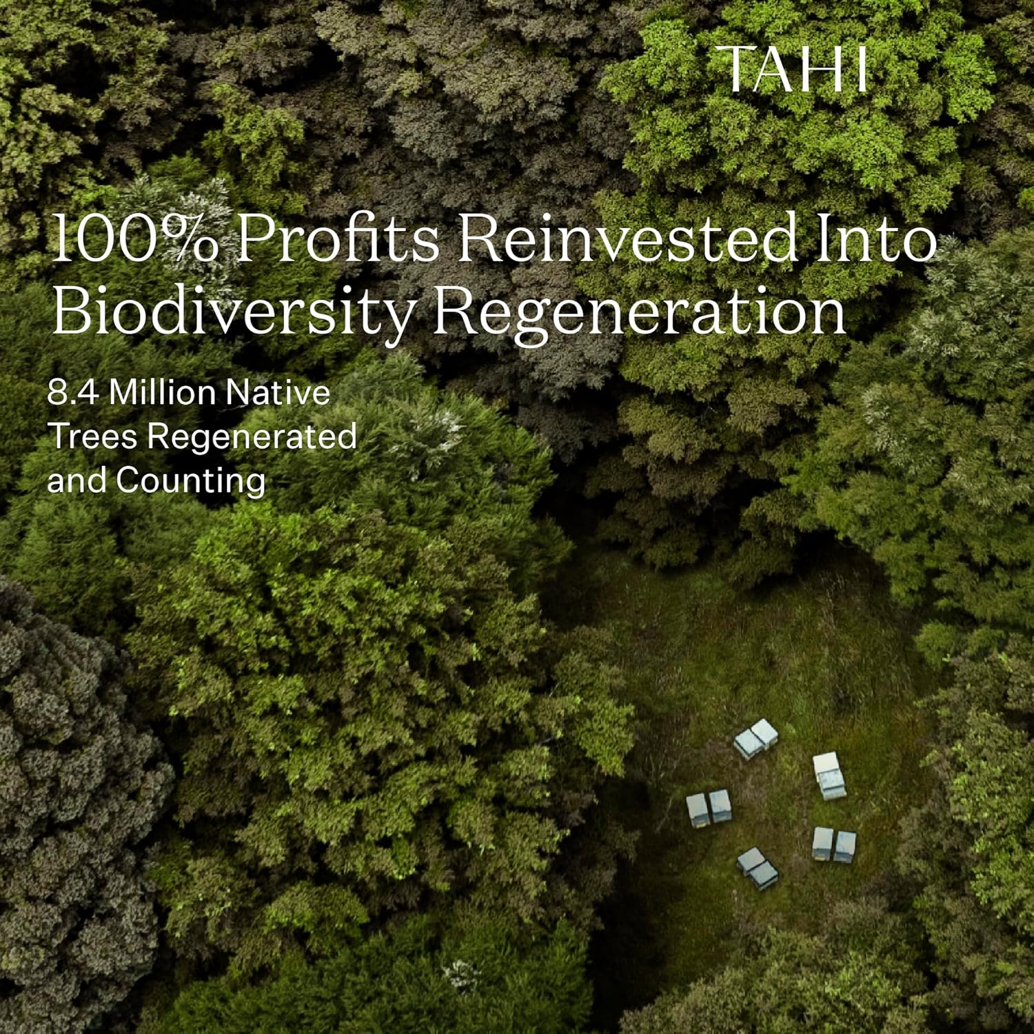 Tahi MGO 50+ Multifloral Raw Manuka Honey New Zealand - 100% Sustainable and Natural Honey - Non-GMO, Glyphosate-Free and Gluten-Free - New Zealand Manuka Pure Honey - 8.81oz - Image 6