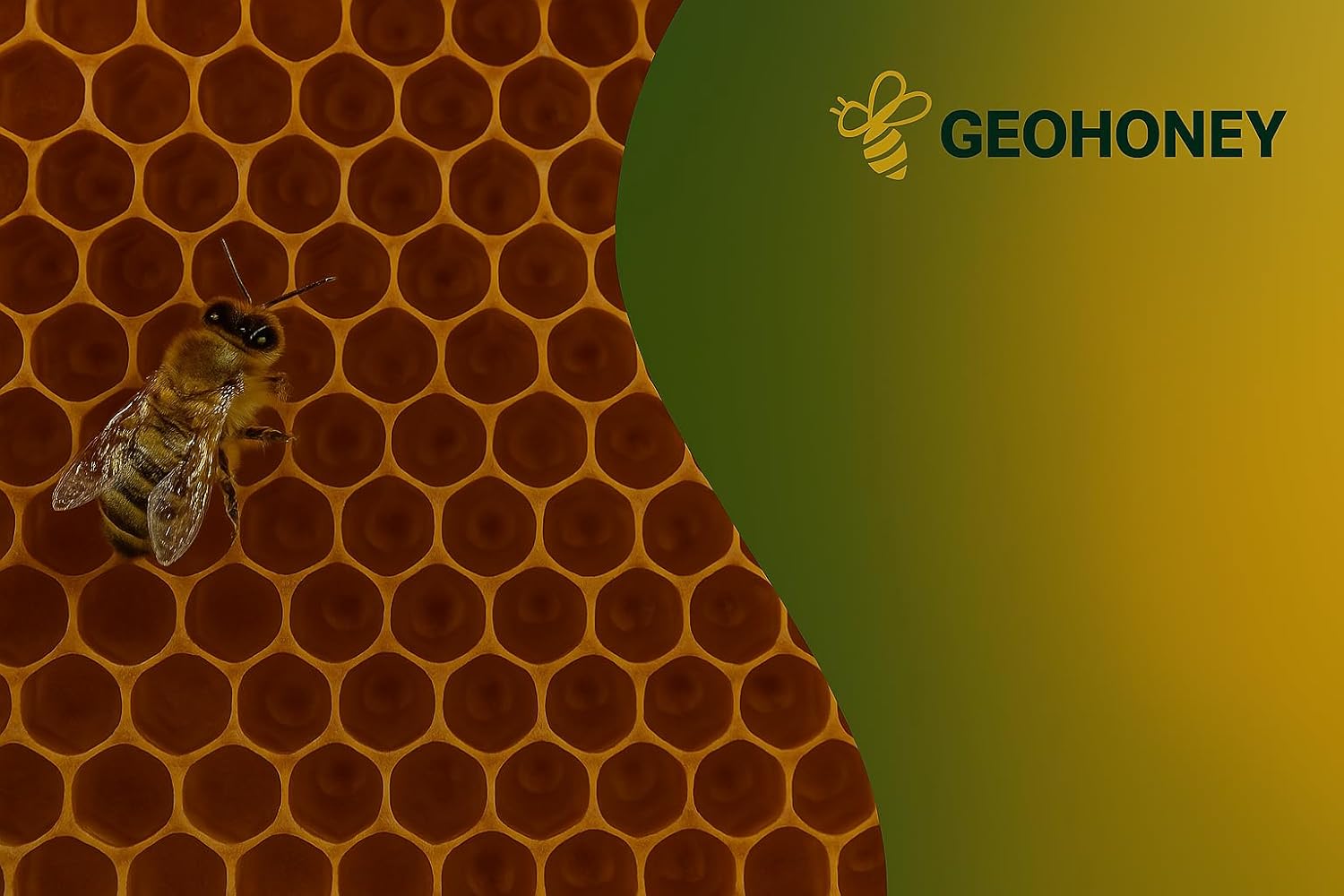 Geohoney Premium Sidr Cedar Honey, 100% Natural, 450 Gram - Image 6