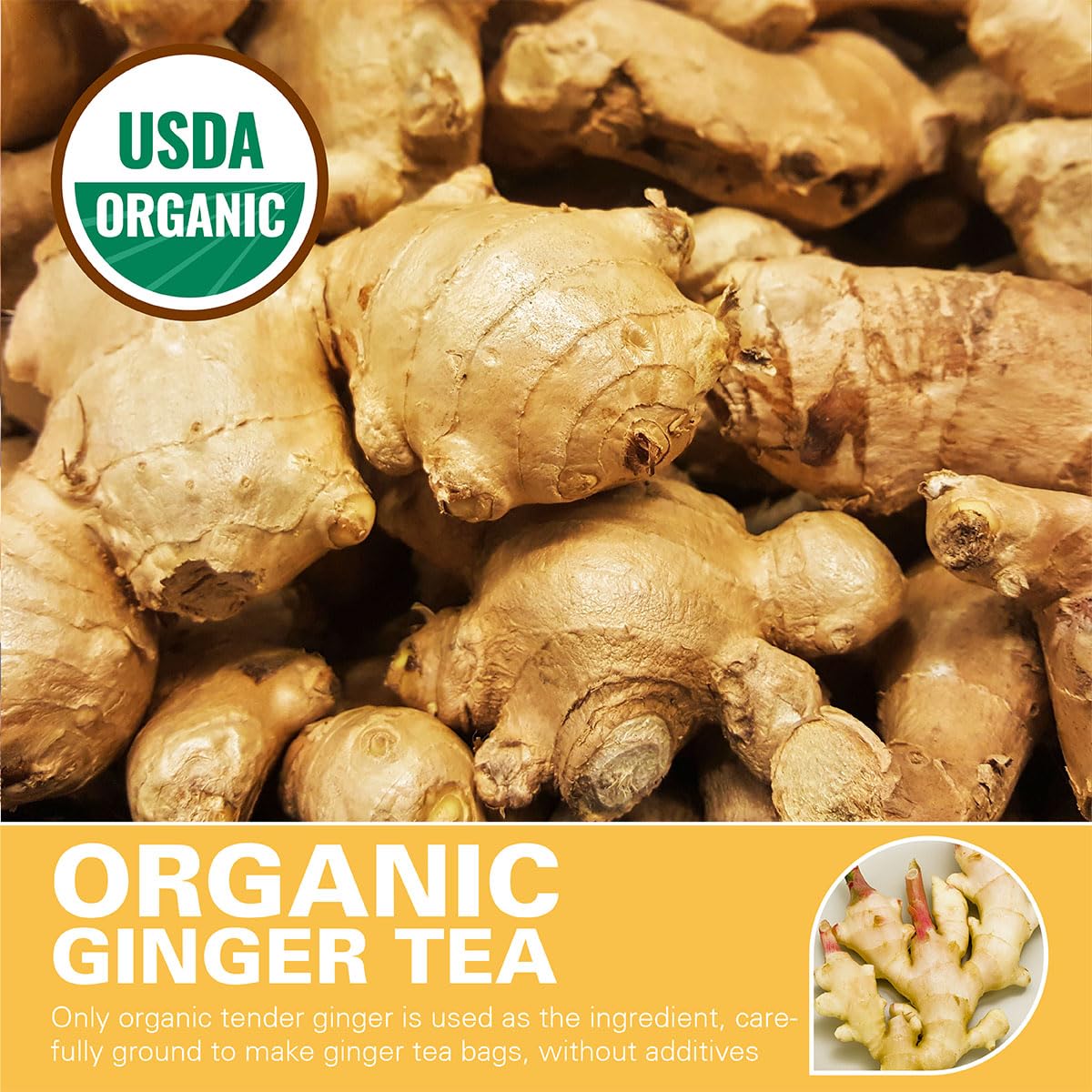 WT WEETEE Organic Ginger Tea Bags, 100% Pure Ginger Root Tea 100 Count, Caffeine Free, No Spices, No Flavors - Image 3