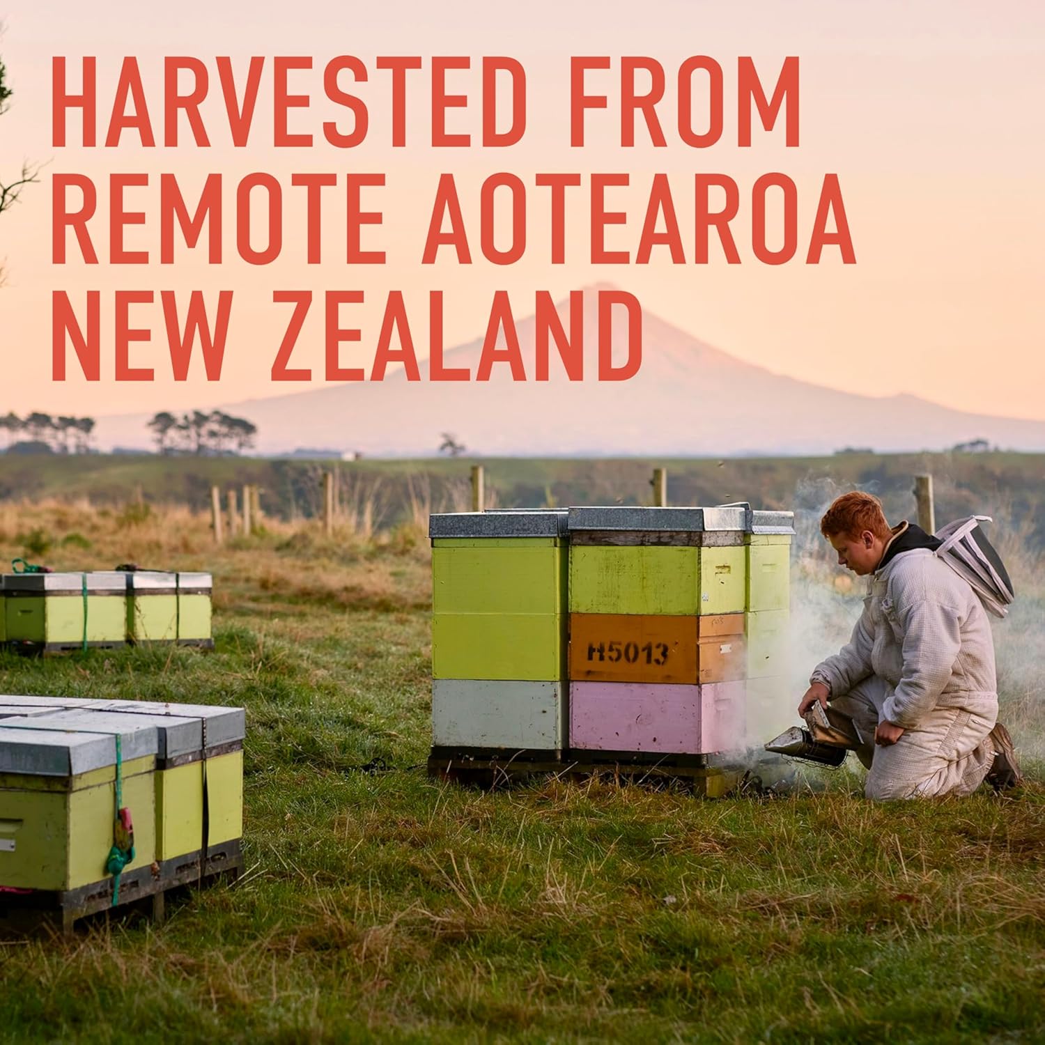 Egmont Honey Manuka Honey UMF 20+ MGO 830+ | 8.8 oz (250 g) | 100% Pure Authentic New Zealand Honey, UMF & MGO Certified, Non-GMO, Kosher, Traceable, Recycled Jar, Immune Support - Image 6