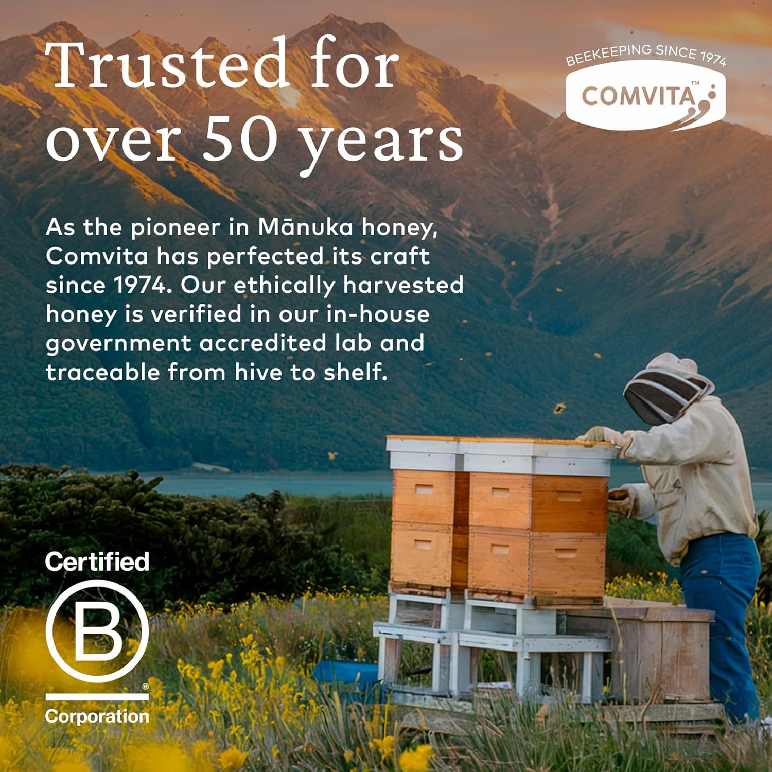 Comvita Manuka Honey MGO 50+ Multifloral - Raw Manuka Honey New Zealand, Pure & Unpasteurized for Tea & Wellness, Superfood Sugar Alternative, Wild, Non-GMO - 500g (17.6 oz) - Image 6