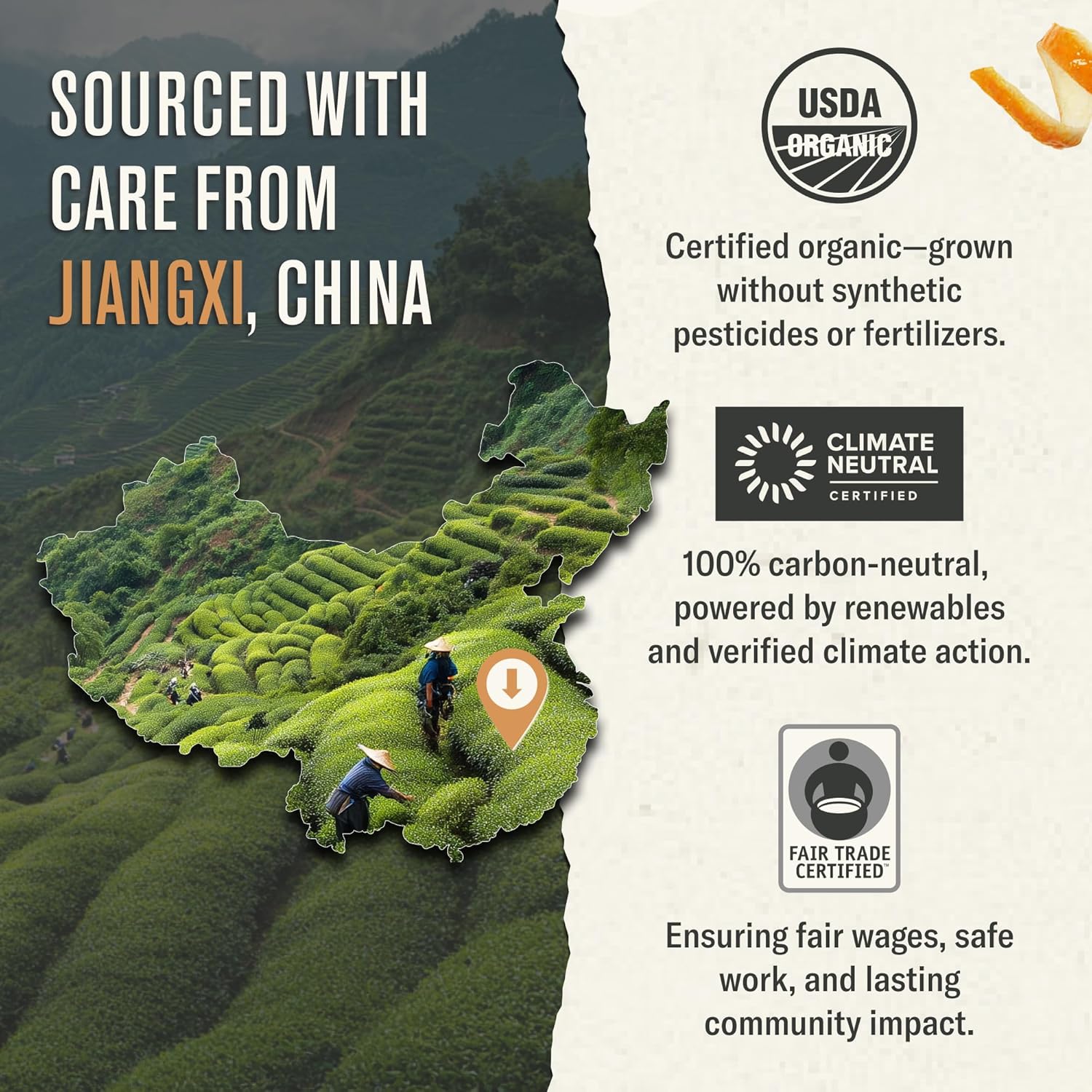 Numi Organic Gunpowder Green Tea, 100 Green Tea Bags, Full-Bodied & Gently Rolled - Image 5