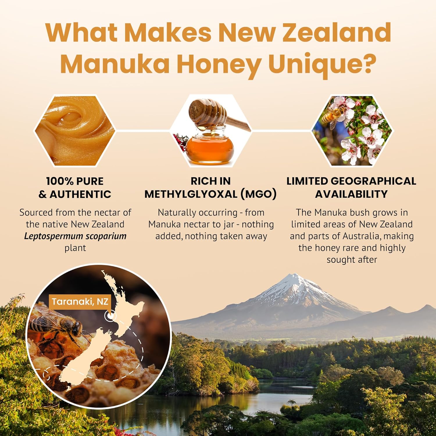 Bees & Trees New Zealand Manuka Honey 830+ & 350+ MGO – Pure, Raw, Unpasteurized Monofloral Superfood Honey for Wellness & Vitality – Bioactive, Nutrient-Rich Manuka Honey – 300g & 380g (2 pack) - Image 2