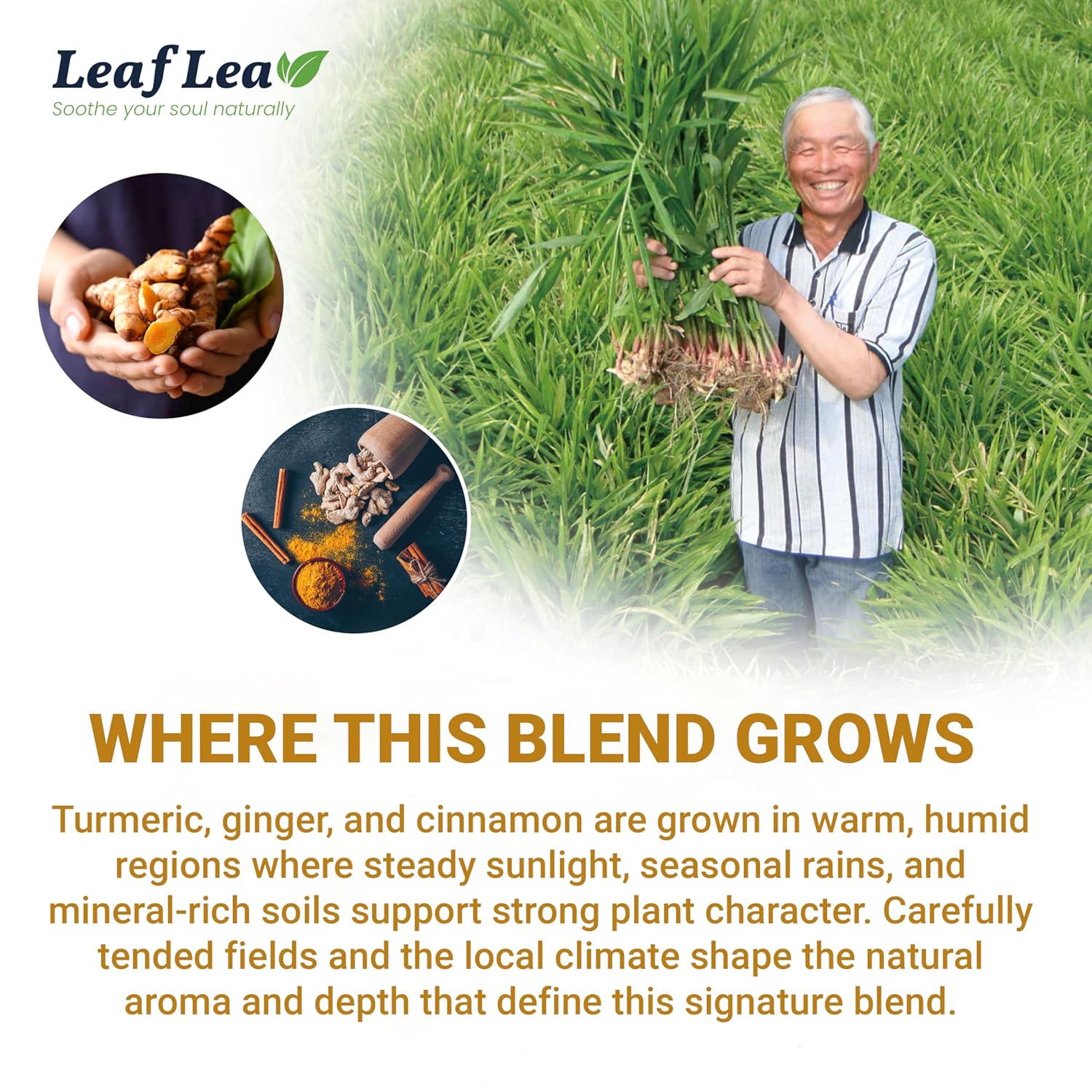 LeafLea 40 Turmeric Ginger Cinnamon Tea Bags, 100% Natural Ingredients Herbal Tea, Turmeric Ginger Herbal Blend for Wellness, Vegan, No Sugar, Caffeine-Free, Individually Wrapped for Freshness - Image 8