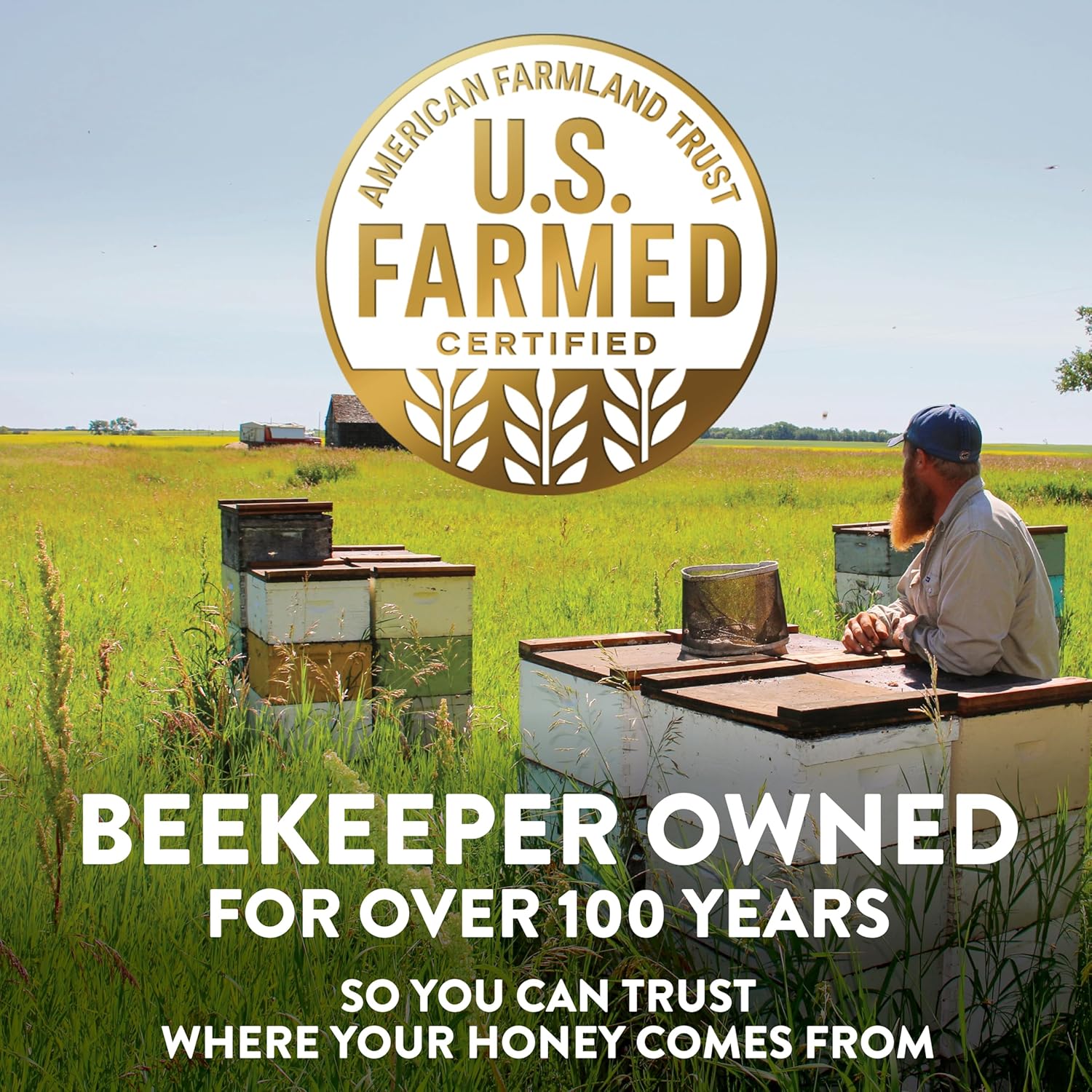 Sue Bee Local Rocky Mountains Honey, Raw & Unfiltered, Beekeeper-Owned Co-Op, Product of USA, Regional Honey, 24 Ounce (Pack of 1) - Image 3